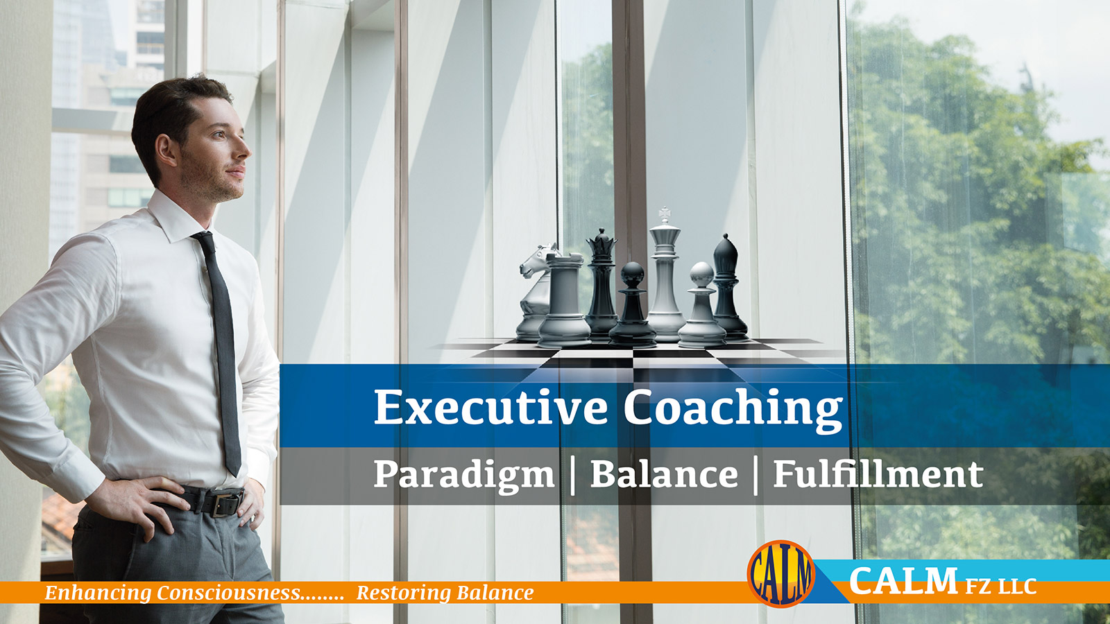 Executive Coaching Solutions